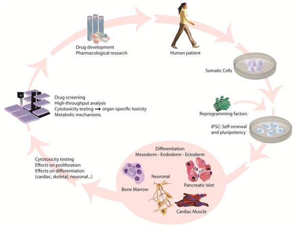 Disease-Specific Cell Models