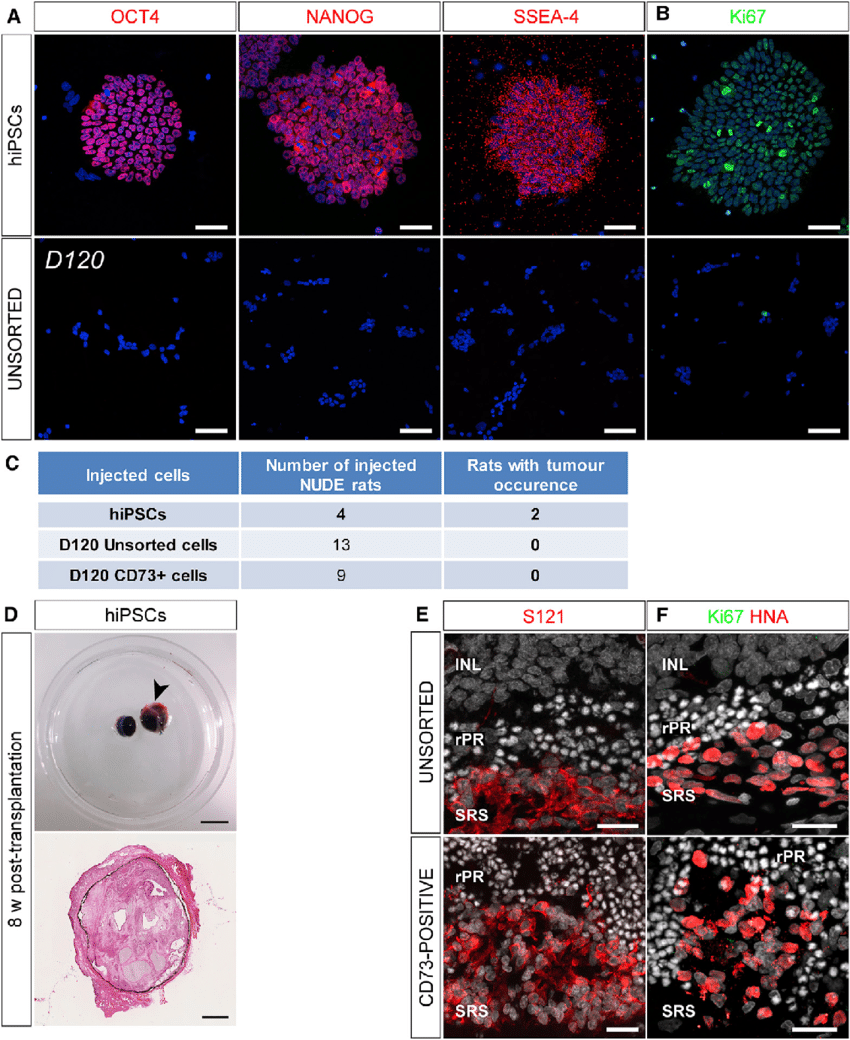 Alkaline phosphatase: a novel treatment target