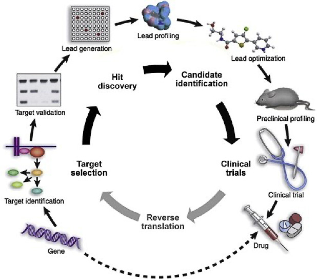Steps of drug discovery